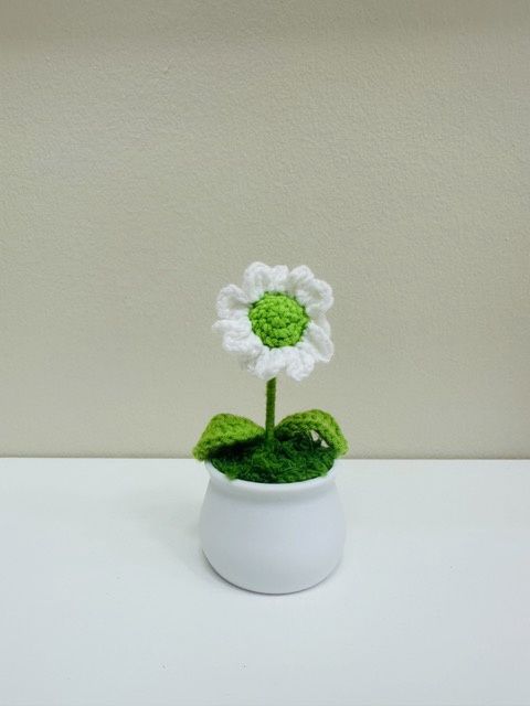 Daisy Flowerpot, Colour: Green Center