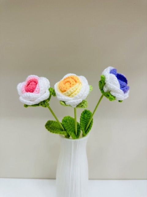 Ombre Rose flower