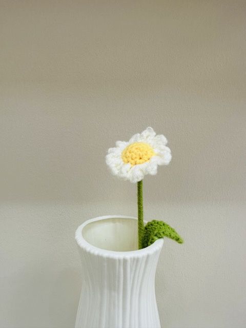Medium Daisy Flower, Colour: white