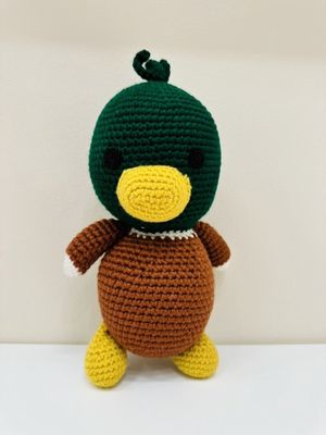 Green Head Duck