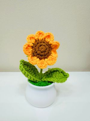 Single daisy flower