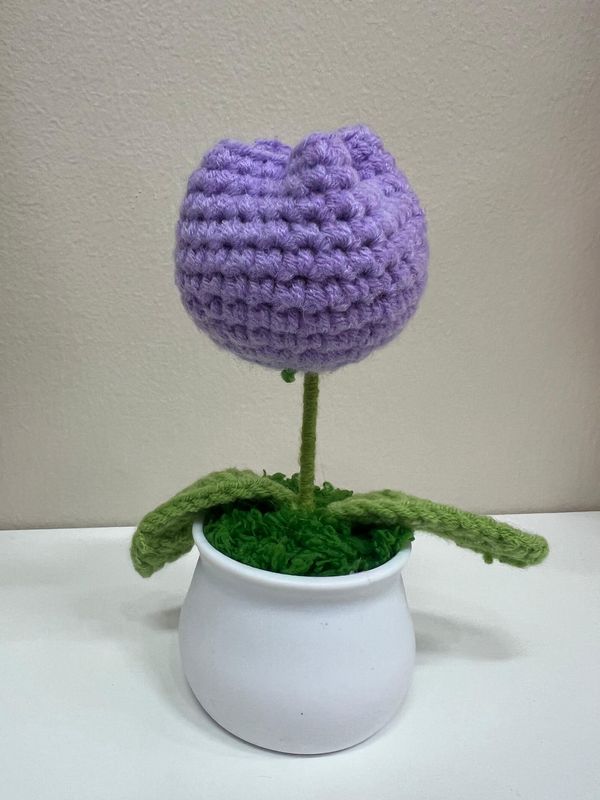 Purple Tulip Flowerpot