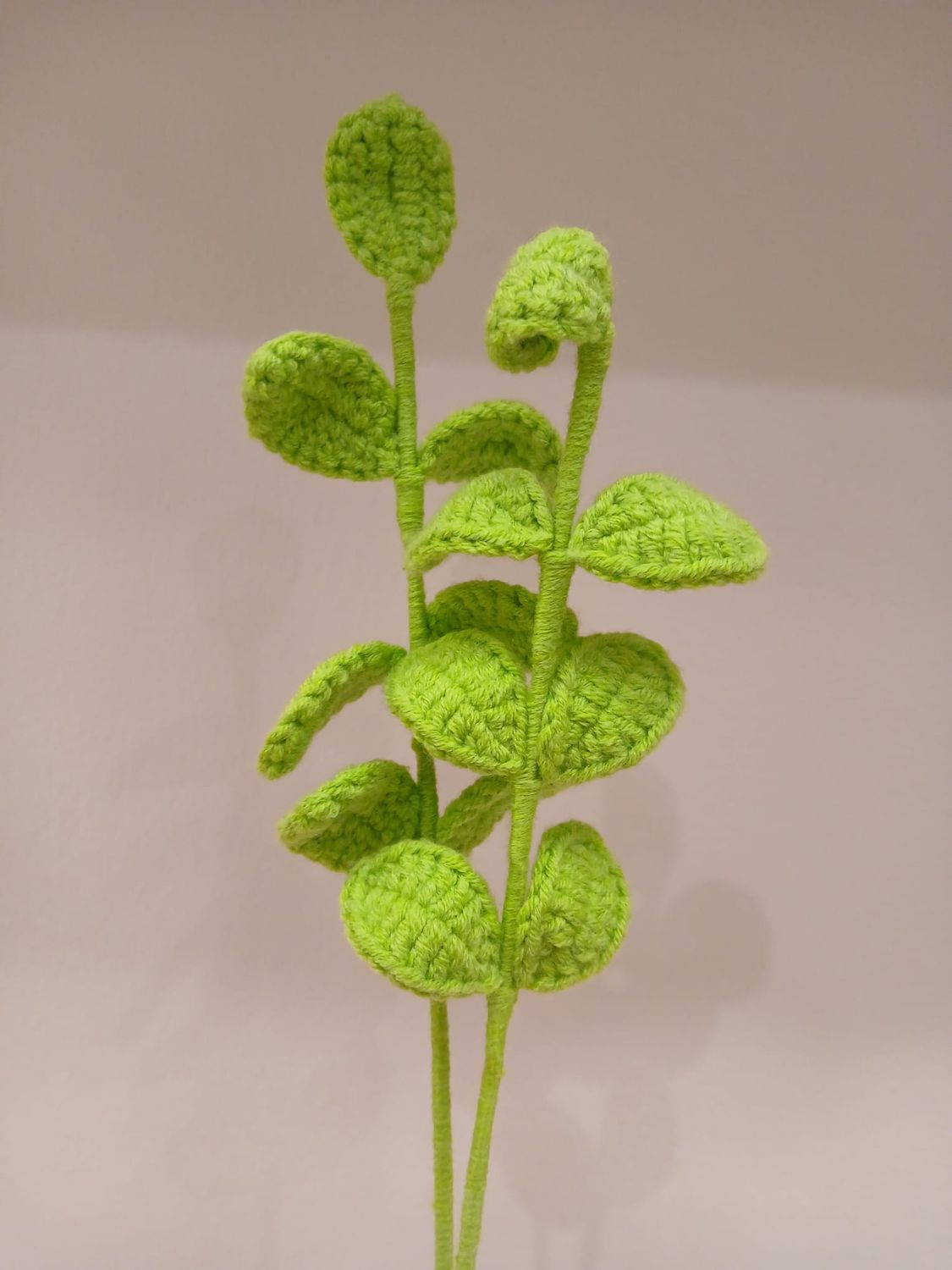 Leaf Stem Flower
