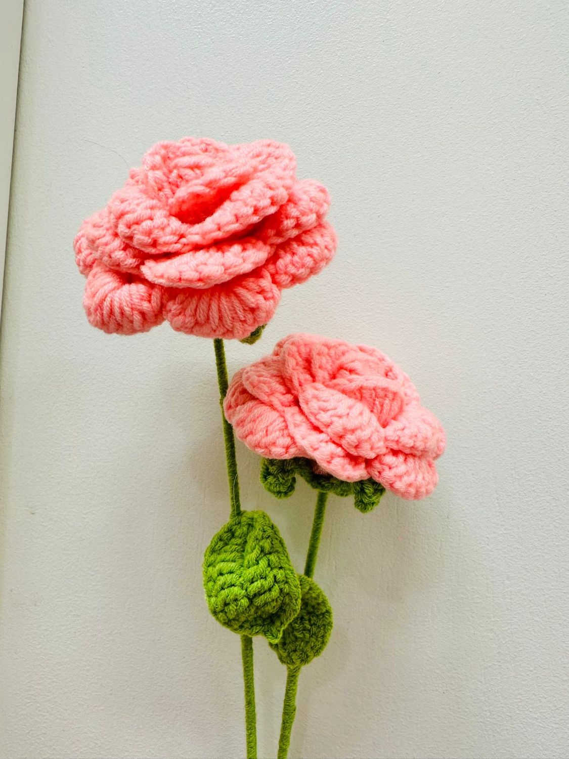 Big Rose Flower, Colour: peach