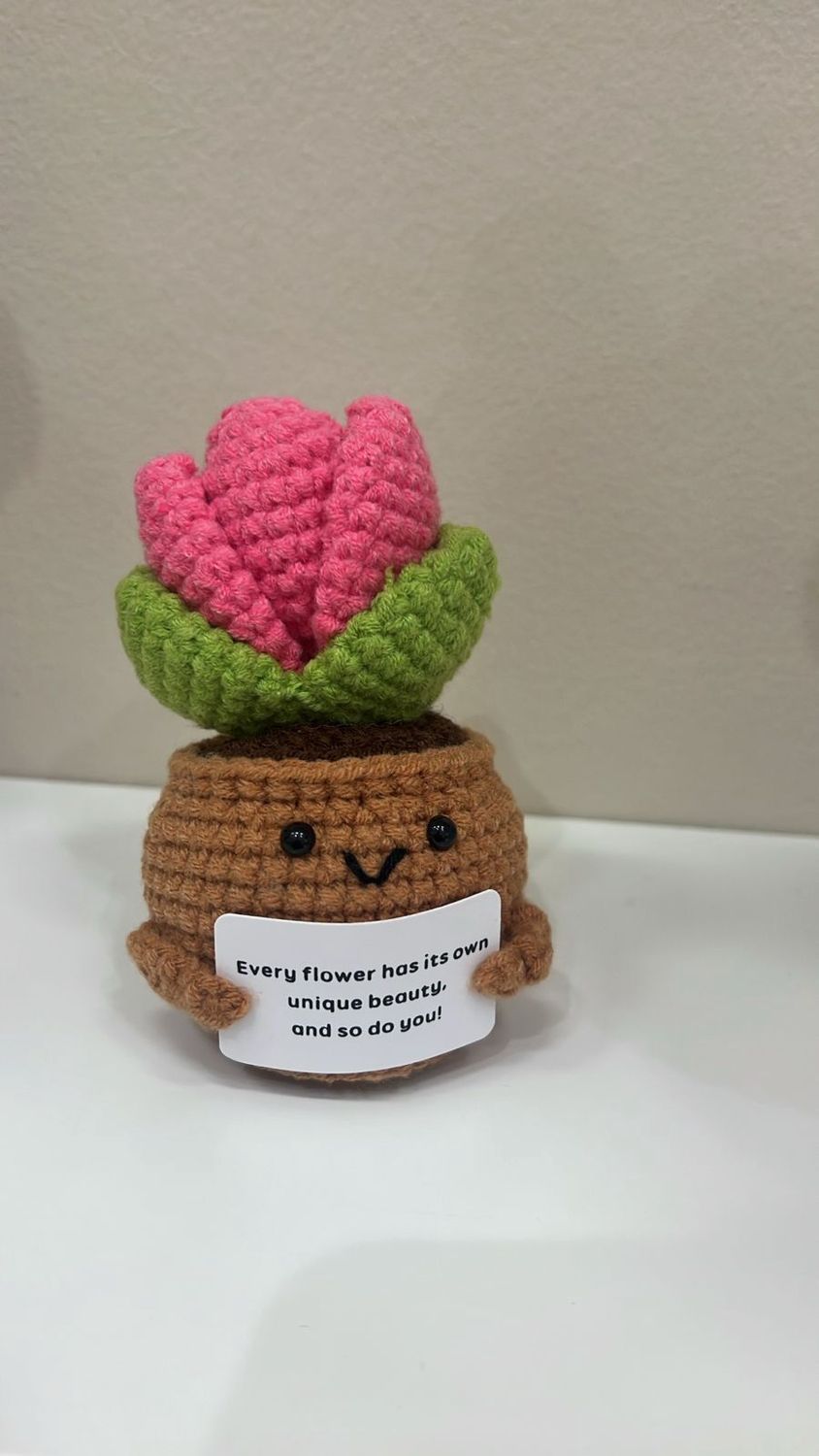 pink  smiley succulent flower pot