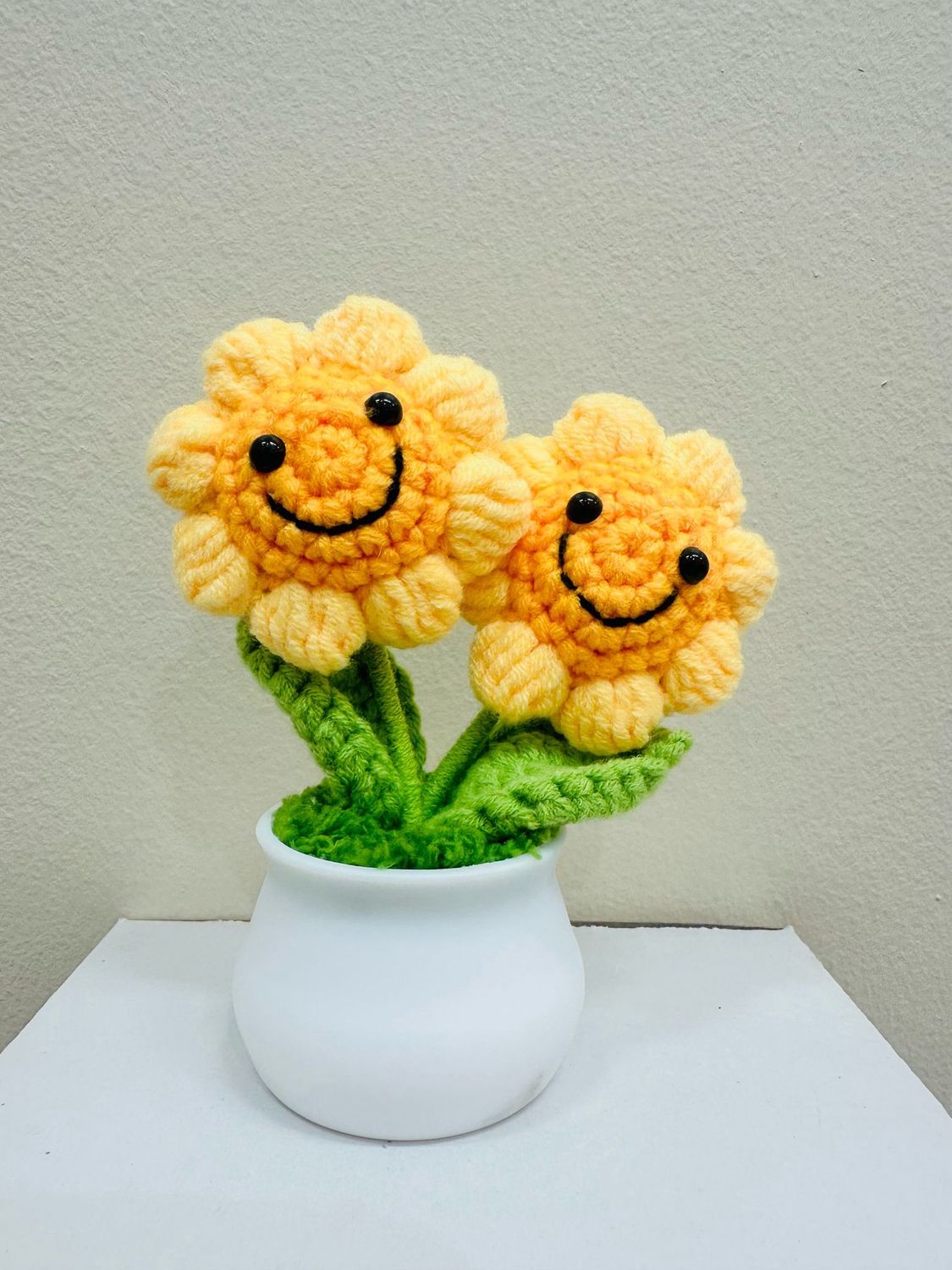 double smiley sunflower pot