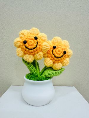 double smiley sunflower pot