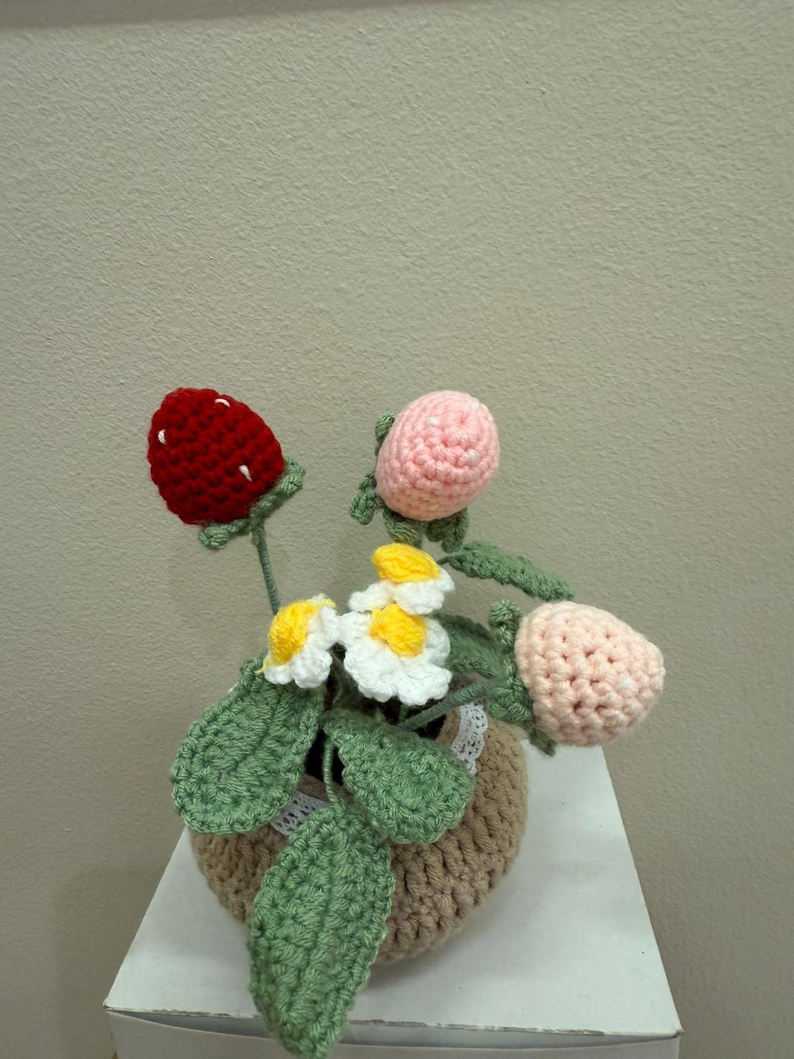 3 strawberry flowerpot