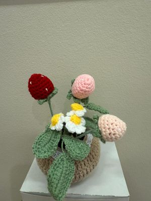 3 strawberry flowerpot