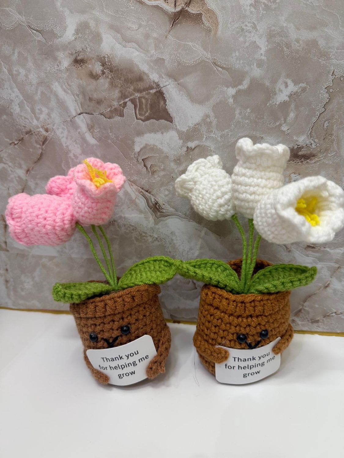 Positive lilly flowerpot