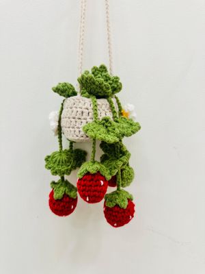 Hanging Berry Basket