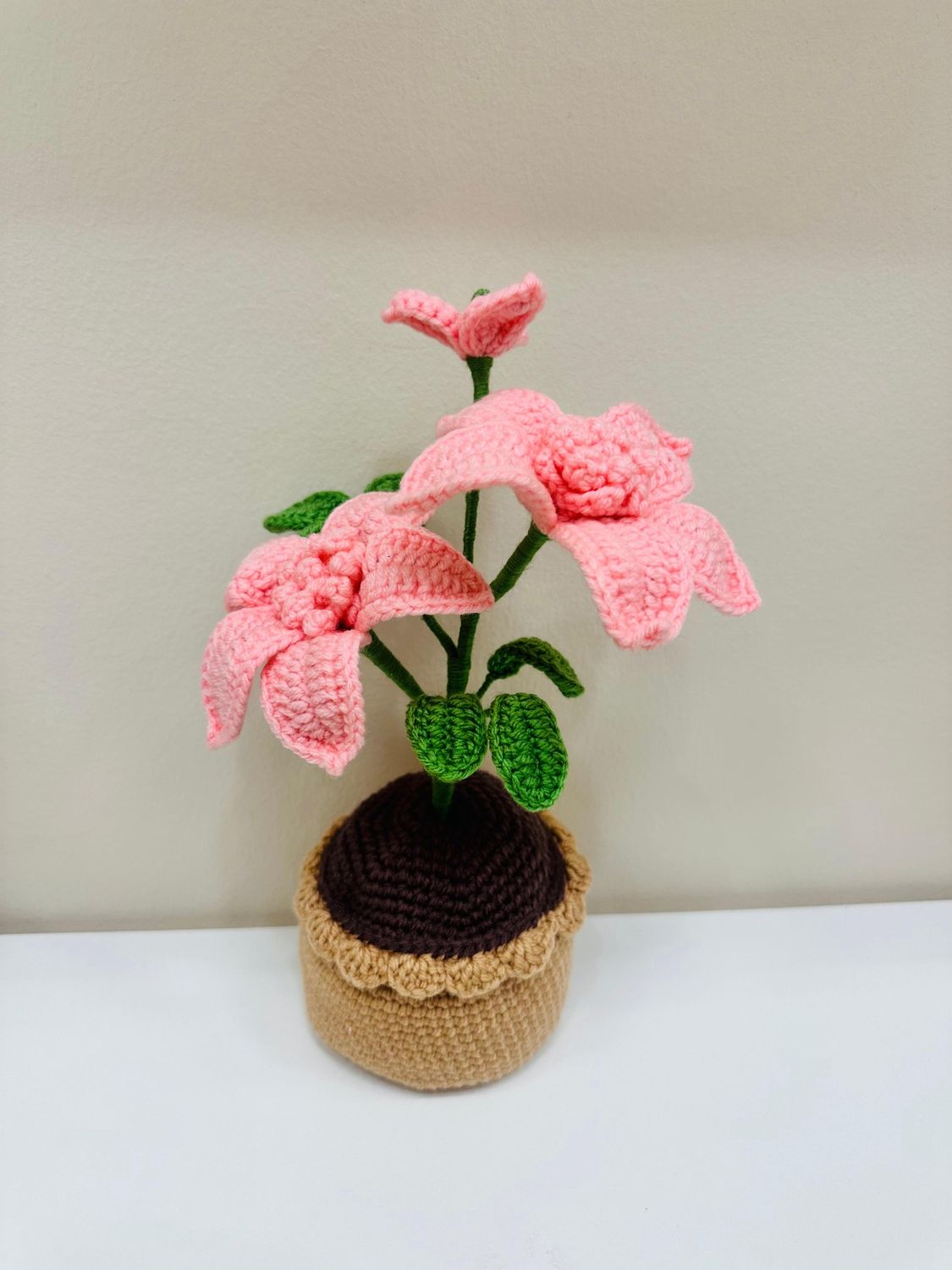 Big Hibiscus Pot