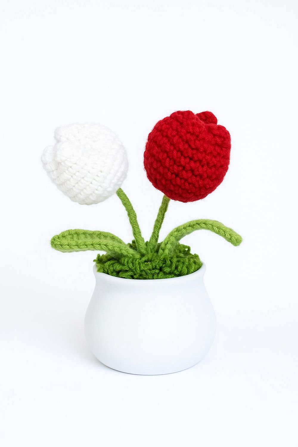 christmas tulip pot