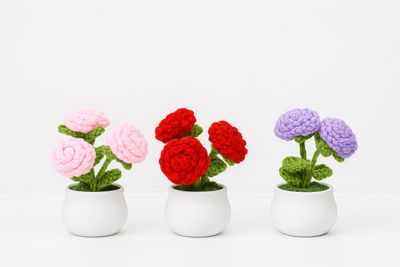 3 Rose Flowerpot