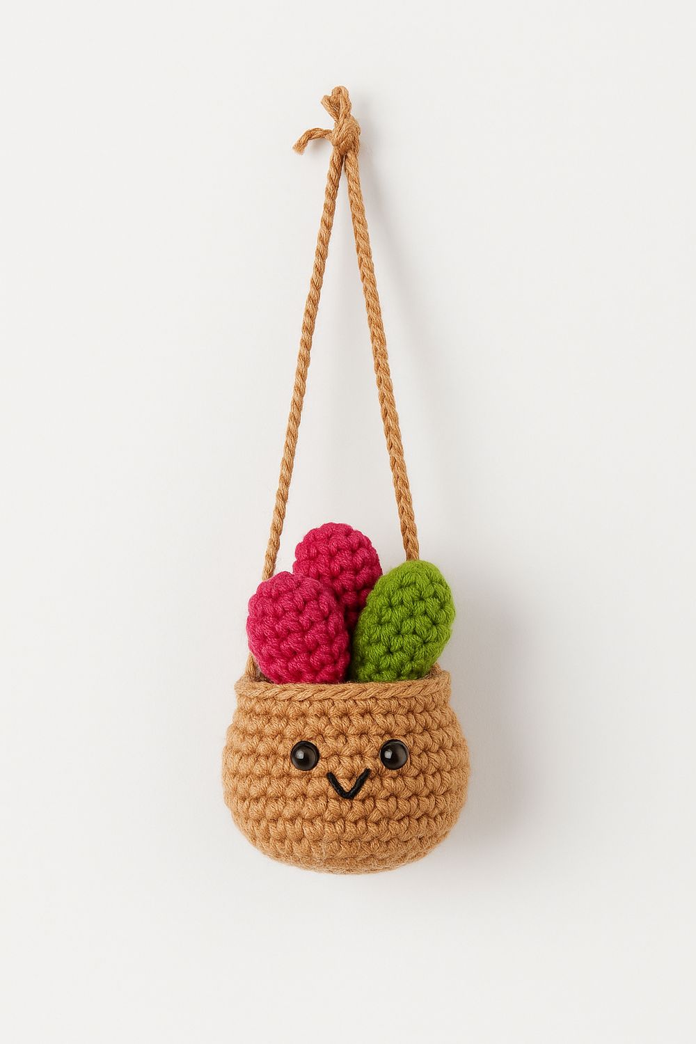 Pink Cactus Hanger