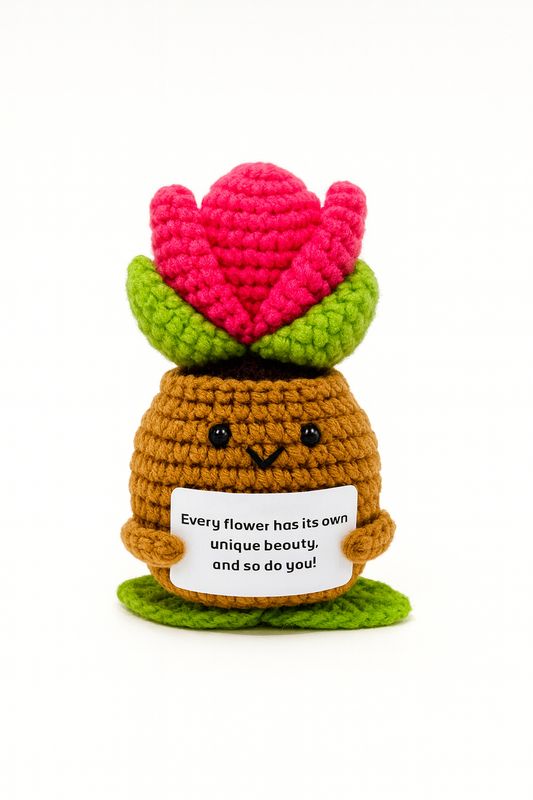 Pink  Smiley Succulent flower pot