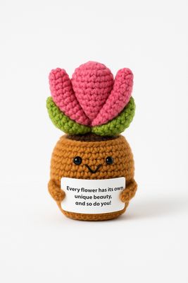 Pink  Smiley Succulent flower pot