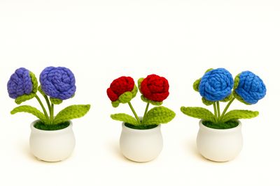 Double Rose Flowerpot