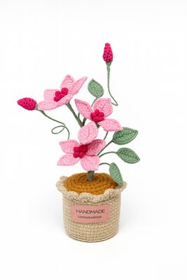 Pink Serenity Pot