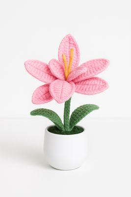 Hibiscus Flowerpot