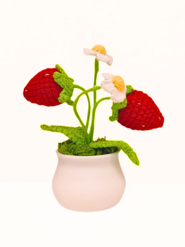 Strawberry Flowerpot
