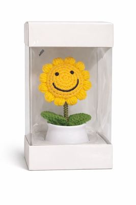 Sunflower in a box