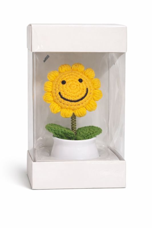 Sunflower in a box