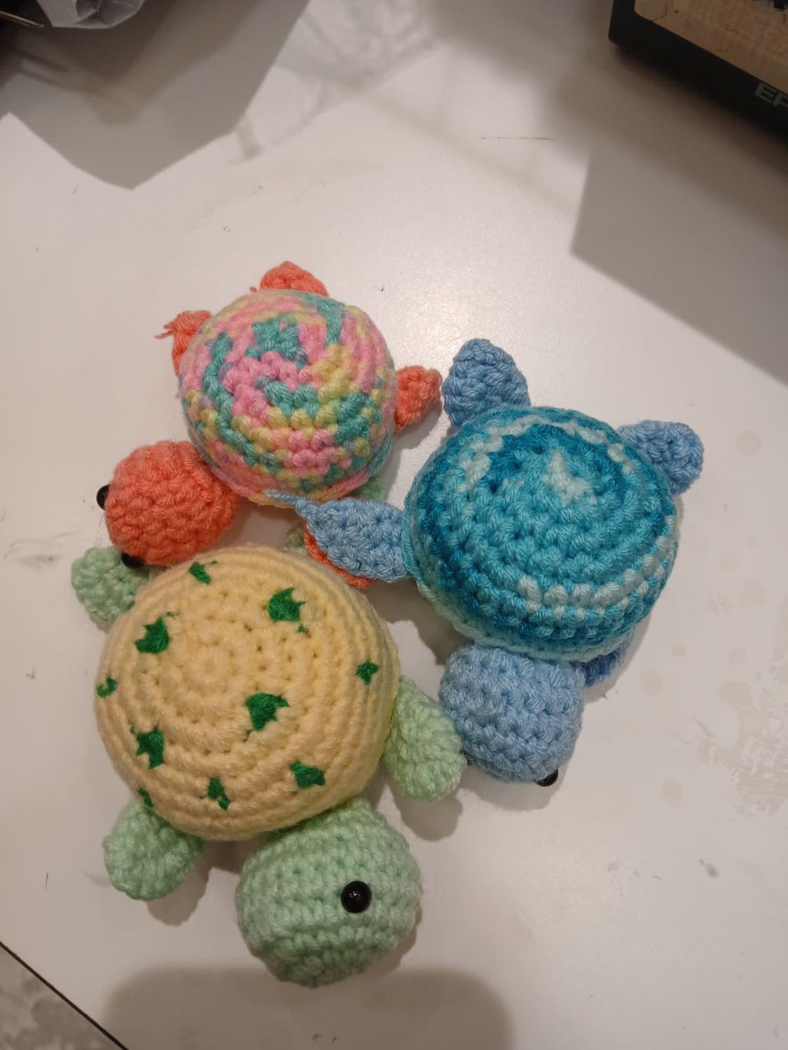 Colorful Tiny Turtle