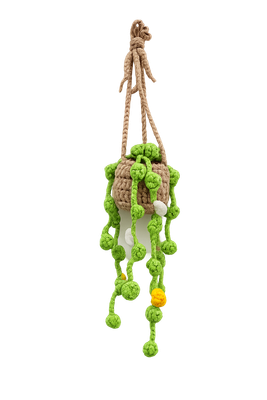 Hanging tiny flowers basket