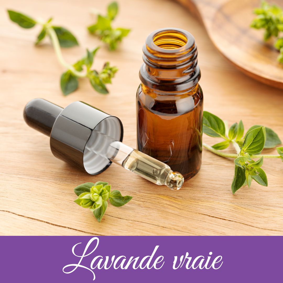 Huile essentielle LAVANDE VRAIE / 10ml
