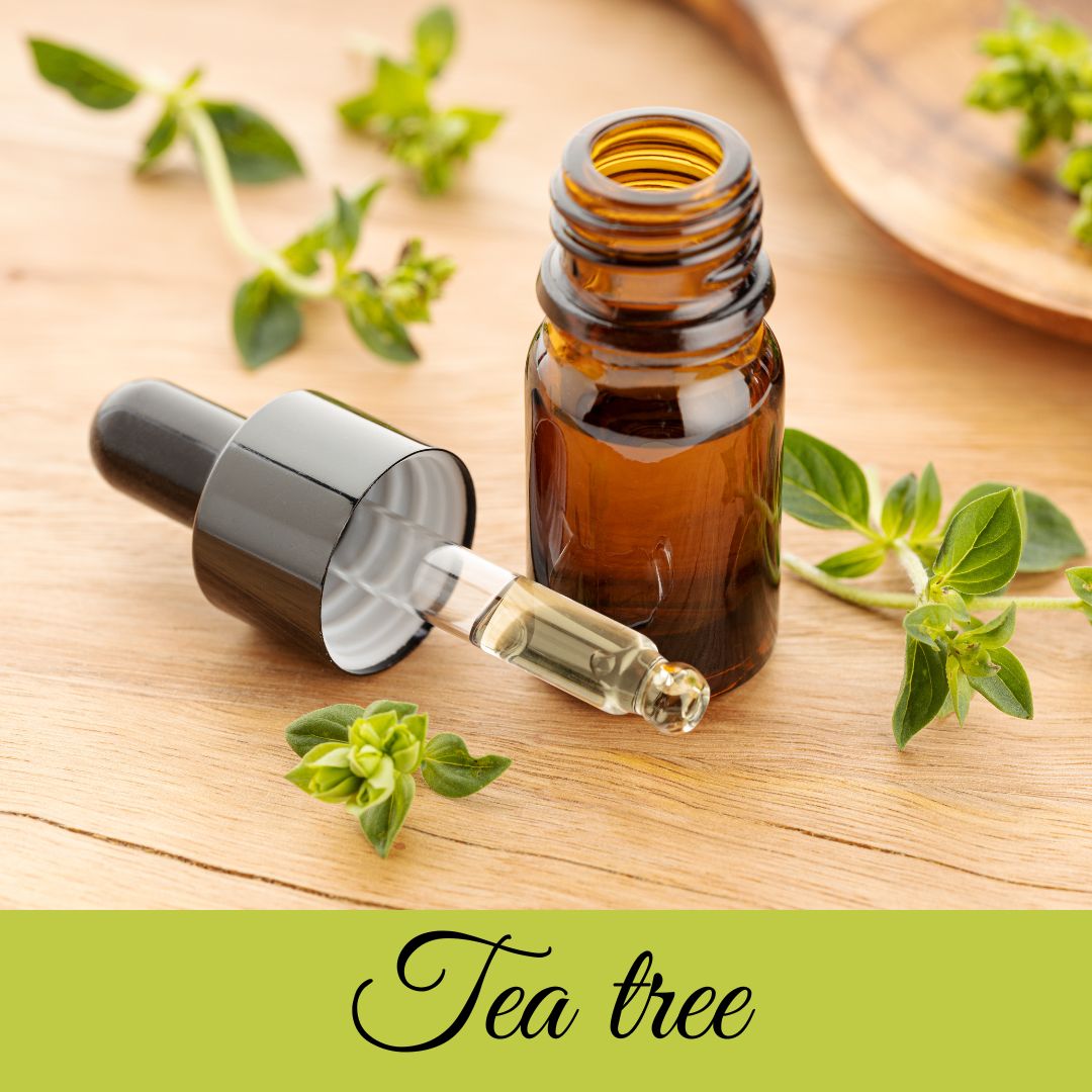 Huile essentielle TEA TREE / 10ml