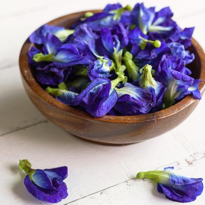 Tisane "Butterfly Pea" / Pois bleu