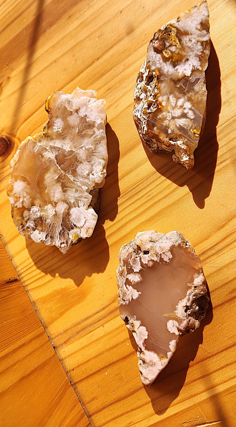 Flower Agate slabs