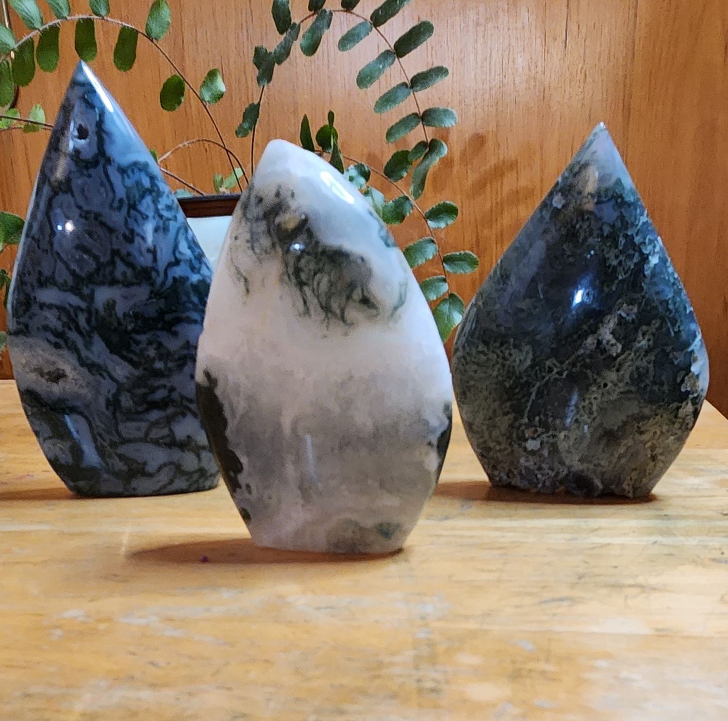 Moss Agate Teardrop Forms