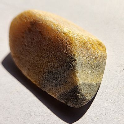 Bumblebee Jasper Small Raw Specimens