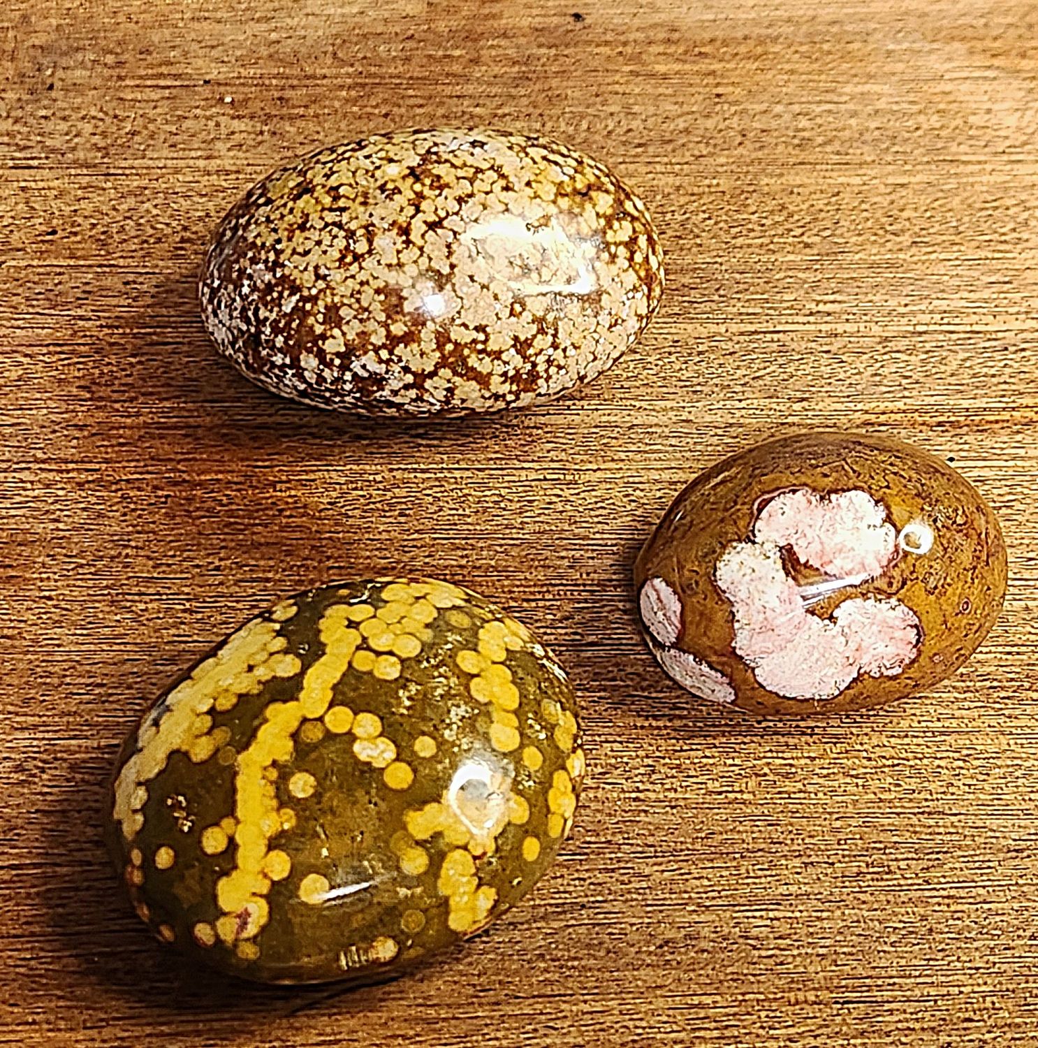 Ocean Jasper Palm stones