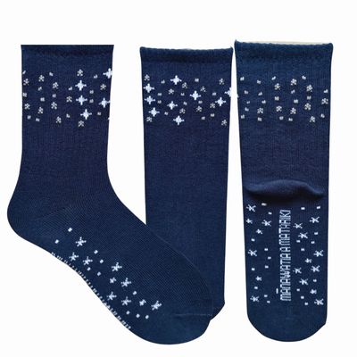 Mānawatia a Matariki - Kahurangi