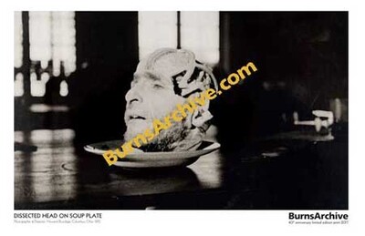 Poster - Head On A Soup Plate