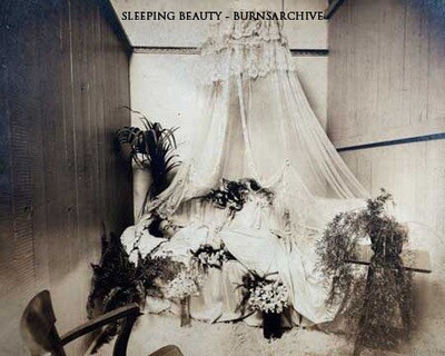 Sleeping Beauty