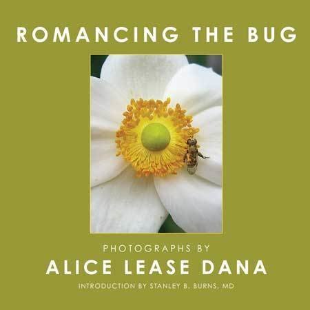 Romancing The Bug