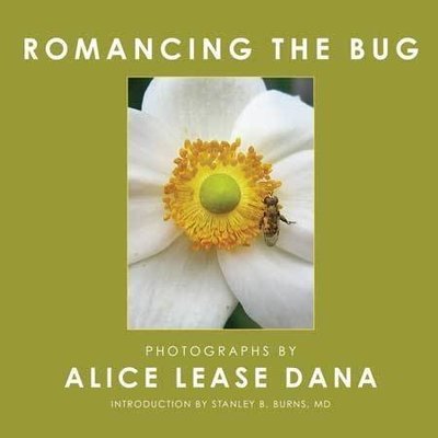 Romancing The Bug