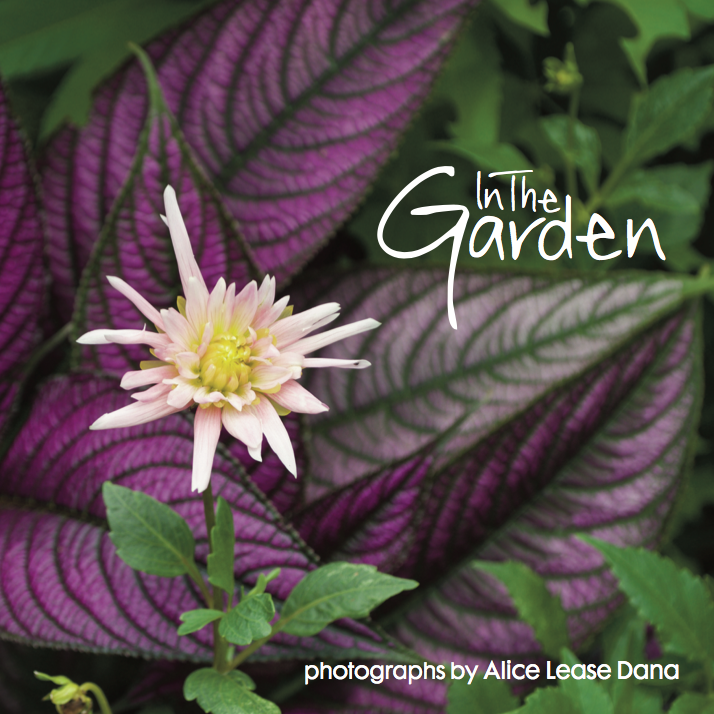 In The Garden
