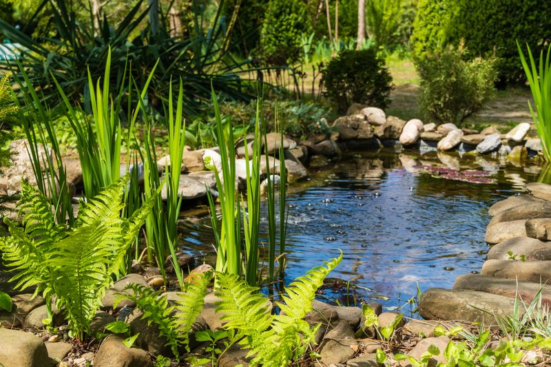 Fresh Water POND Water Testing Kit