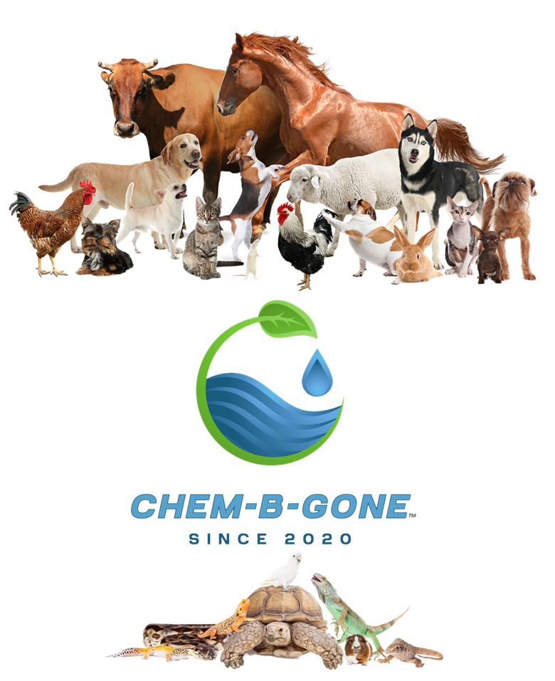 Chem-B-Gone™ for ANIMAL'S - 16 oz.