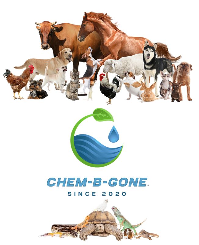 Chem-B-Gone™ for ANIMAL'S - 16 oz.