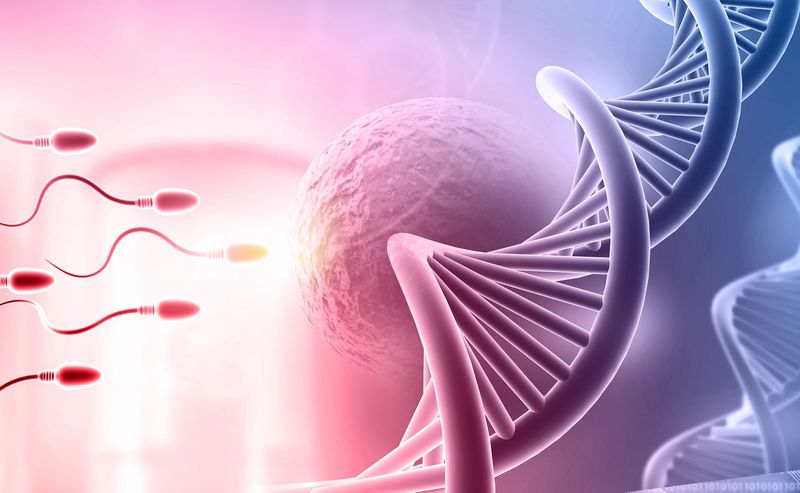 Non-Invasive Prenatal Paternity Testing