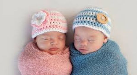 Twin Zygosity DNA Test
