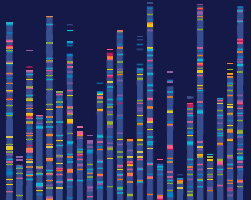 DNA Art