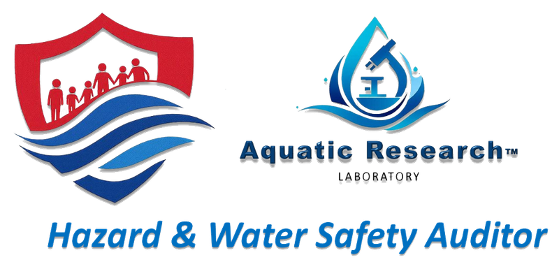 Small Business / Ministry Audit