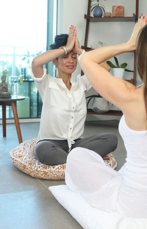 Nervous System Wellness 1:1 Session